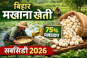 Bihar Makhana Kheti Subsidy 2026